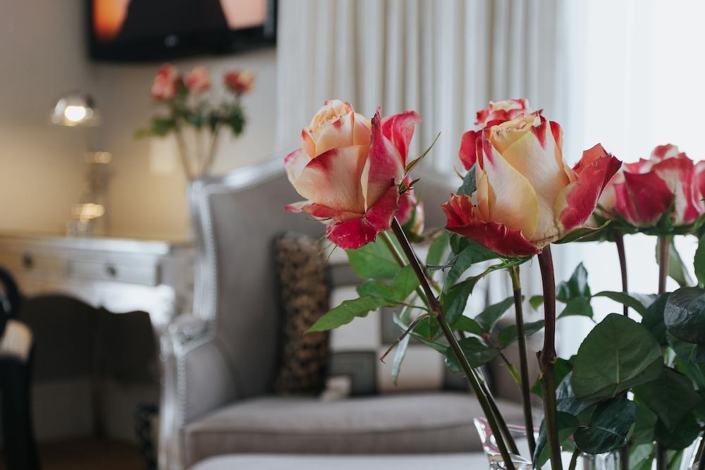 The Light House Boutique Suites Paarl Buitenkant foto